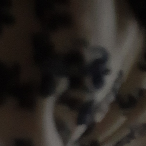 Meet your Posher, Sophie - Picture 1 of 1